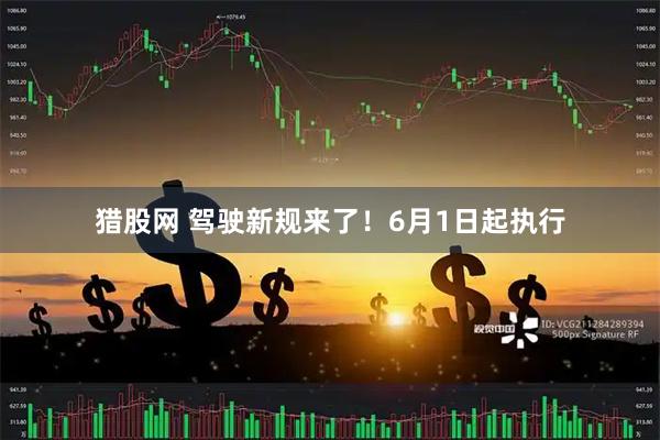 猎股网 驾驶新规来了！6月1日起执行