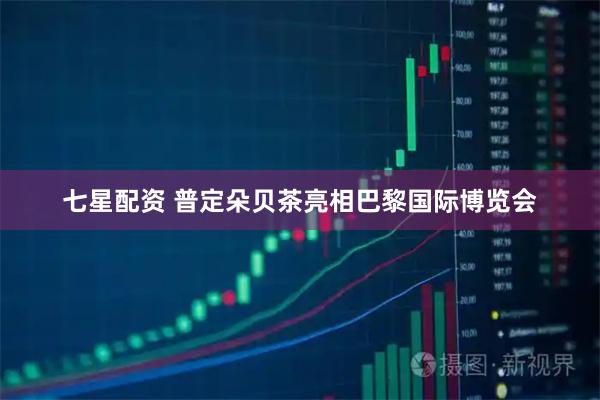 七星配资 普定朵贝茶亮相巴黎国际博览会