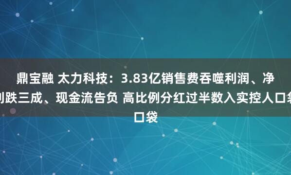 鼎宝融 太力科技：3.83亿销售费吞噬利润、净利跌三成、现金流告负 高比例分红过半数入实控人口袋