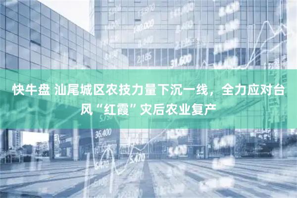 快牛盘 汕尾城区农技力量下沉一线，全力应对台风“红霞”灾后农业复产